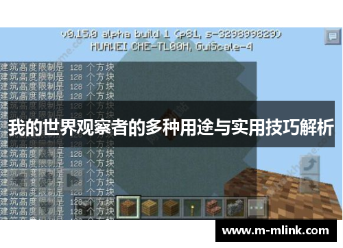 我的世界观察者的多种用途与实用技巧解析