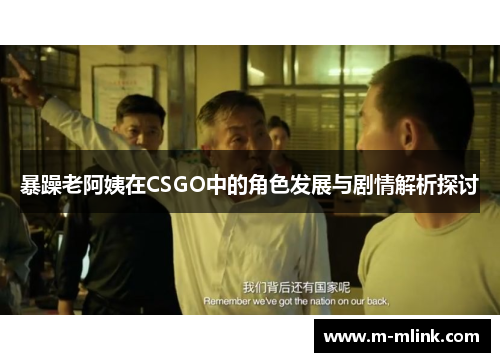 暴躁老阿姨在CSGO中的角色发展与剧情解析探讨