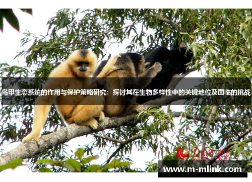 鸟甲生态系统的作用与保护策略研究：探讨其在生物多样性中的关键地位及面临的挑战