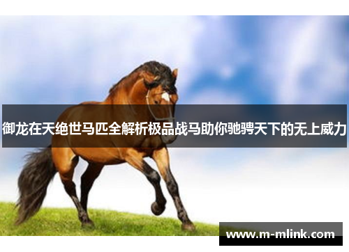 御龙在天绝世马匹全解析极品战马助你驰骋天下的无上威力