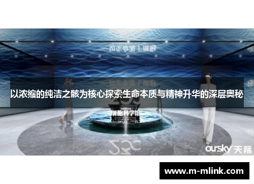 以浓缩的纯洁之骸为核心探索生命本质与精神升华的深层奥秘